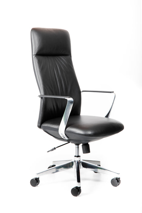 Director Executive Chair