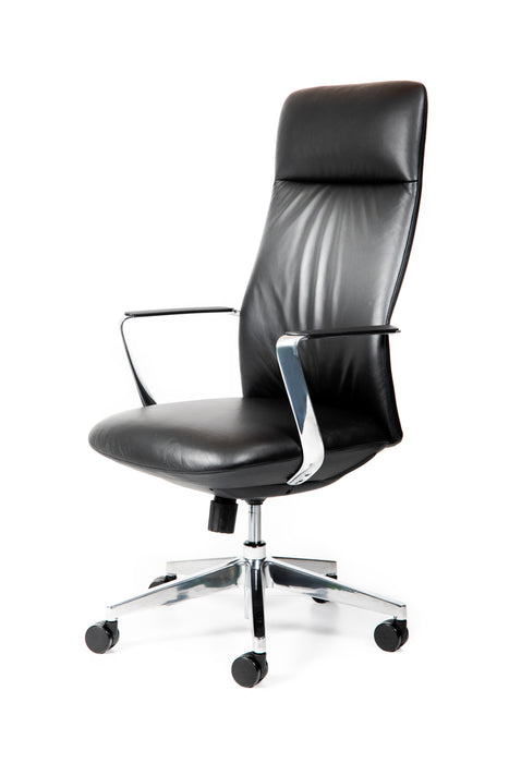 Director Executive Chair