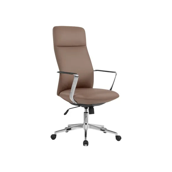 Director Executive Chair