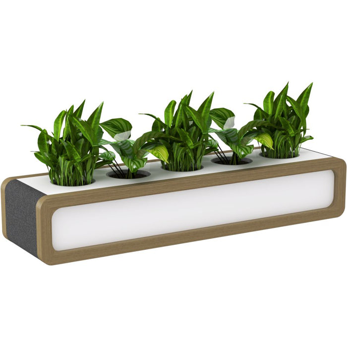 Rover Mobile Planter Box